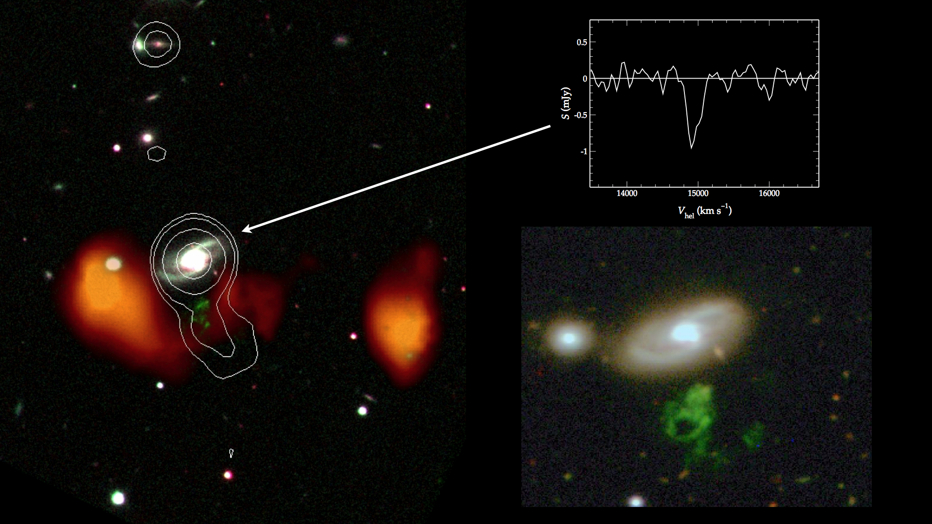 Radio jet (white contours) emanating from the centre of the nearby galaxy IC 2497 headed straight in the direction of Hanny’s Voorwerp (green); from ASTRON