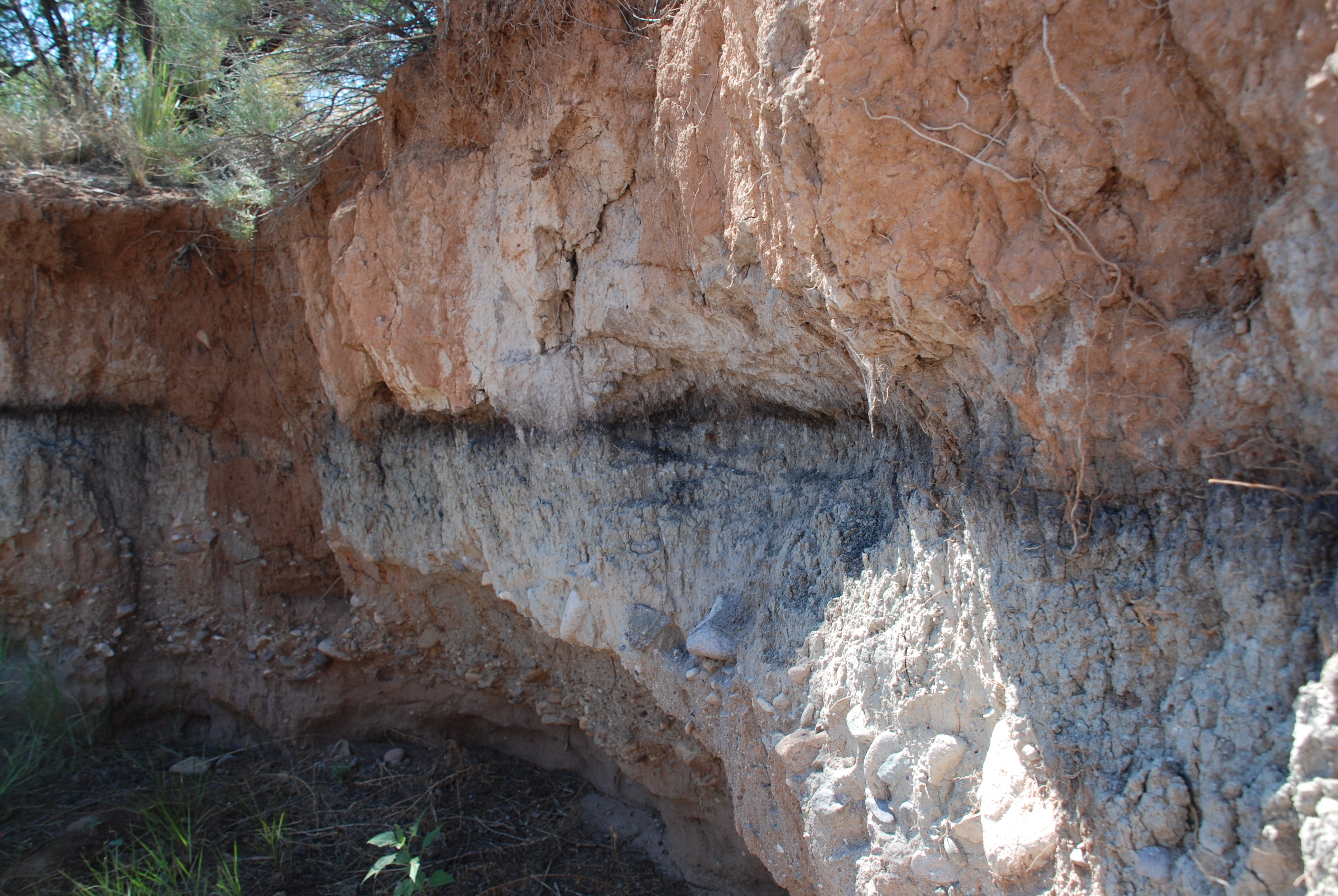 Layer of sediment with nanometer sized diamonds; from University of Oregon